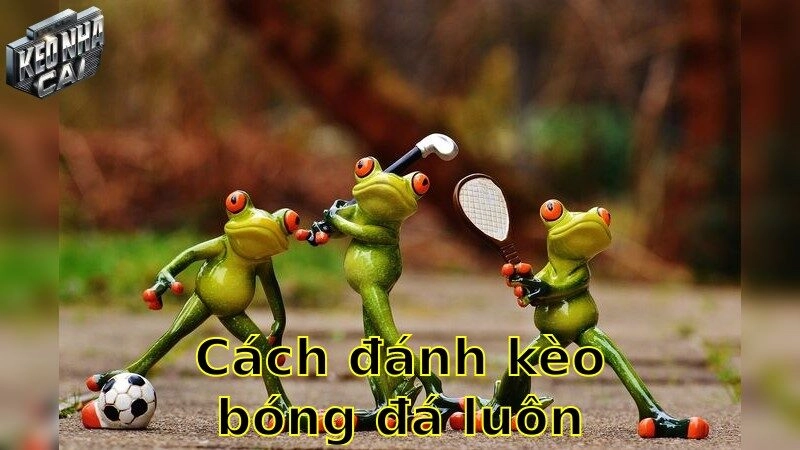 Cách đánh kèo bóng đá luôn thắng – Bí quyết chiến thắng mỗi trận 2025