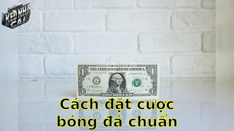 Cách đặt cược bóng đá chuẩn nhất – Đảm bảo mỗi cược đều có lời 2025