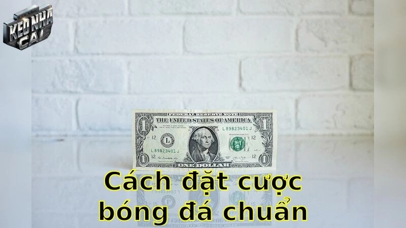 Cách đặt cược bóng đá chuẩn nhất – Đảm bảo mỗi cược đều có lời 2025