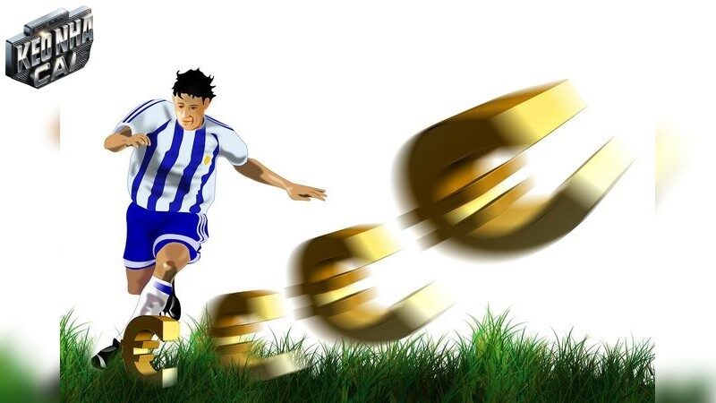 Chiến Lược Cơ Bản Để Áp Dụng Trong Cá Độ Bóng Đá