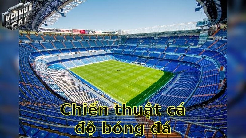 Chiến thuật cá độ bóng đá – Vượt trội với chiến lược đỉnh cao 2025