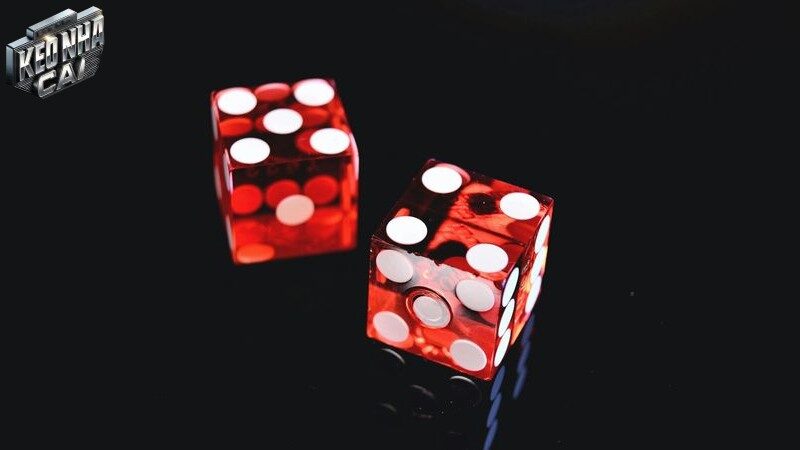 Cơ hội và thách thức trong cá cược từ Cổng game uy tín