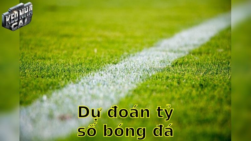 Dự đoán tỷ số bóng đá – Dẫn đầu trong dự đoán chính xác 2025