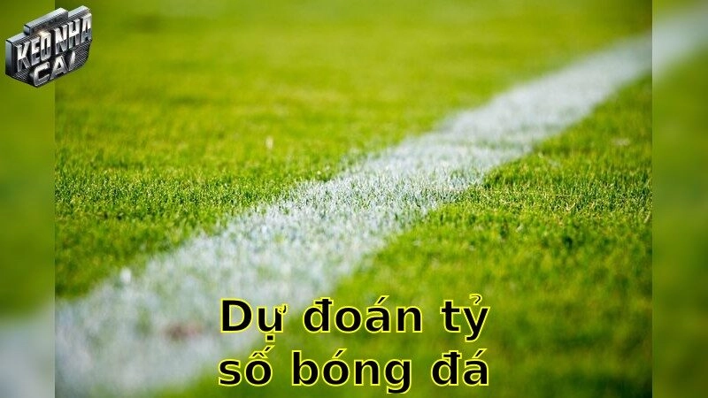 Dự đoán tỷ số bóng đá – Dẫn đầu trong dự đoán chính xác 2025