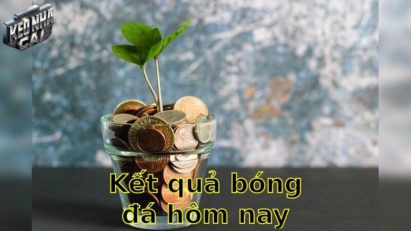 Kết quả bóng đá hôm nay – Xem ngay kết quả chính xác và nhanh nhất