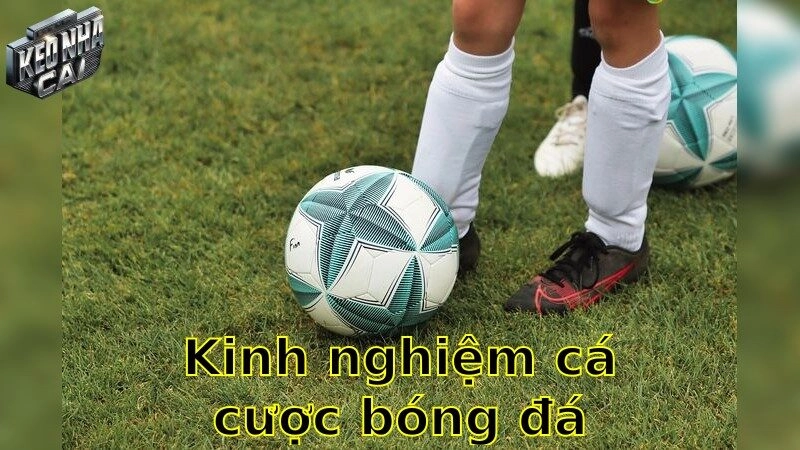Kinh nghiệm cá cược bóng đá – Nâng tầm chiến thắng cá cược 2025