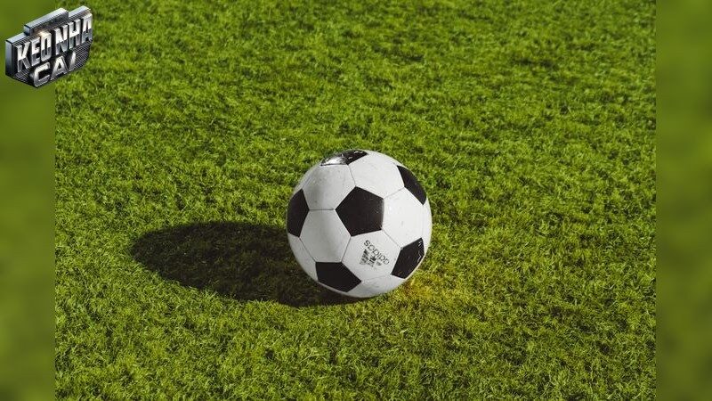 Lợi Ích Khi Tham Gia Bet88