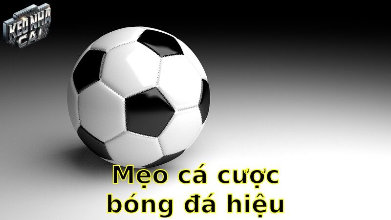 Mẹo cá cược bóng đá hiệu quả – Tối ưu hóa lợi nhuận cá cược 2025