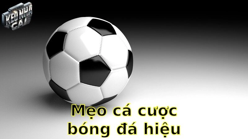 Mẹo cá cược bóng đá hiệu quả – Tối ưu hóa lợi nhuận cá cược 2025