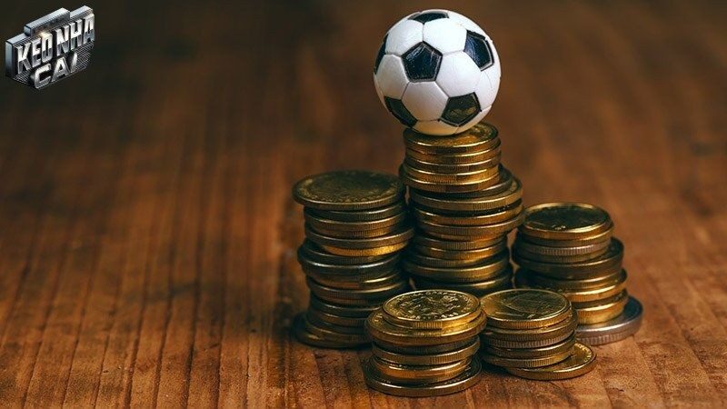 Tại sao soi kèo bóng đá chuẩn nhất là lựa chọn hàng đầu?