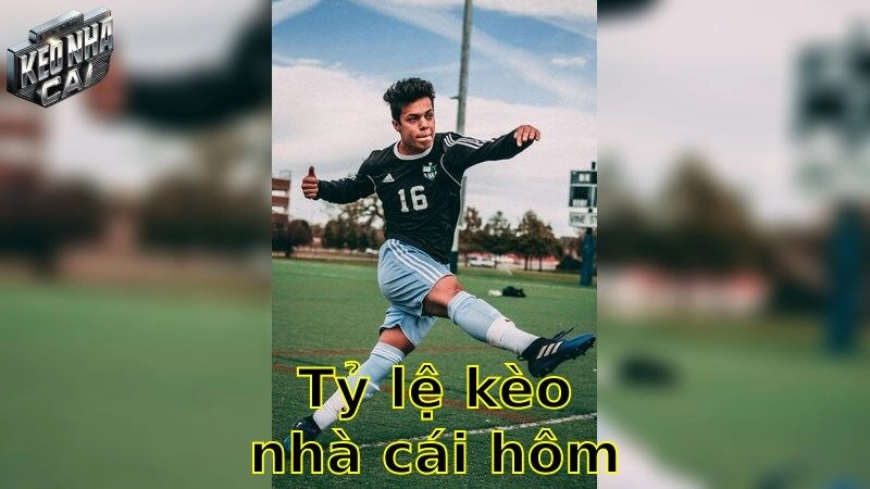 Tỷ lệ kèo nhà cái hôm nay – Đặt cược ngay để thắng lớn 2025