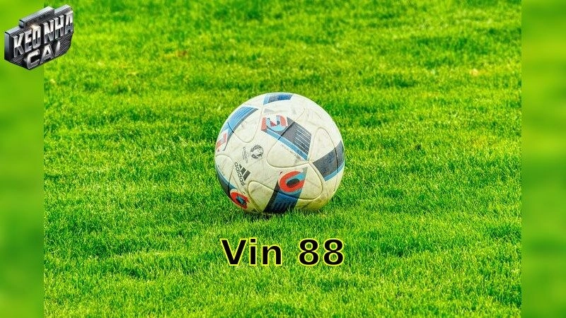 Vin88 – Đỉnh Cao Của Giải Trí Cá Cược 2025
